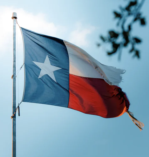 7: The Texas Legislature