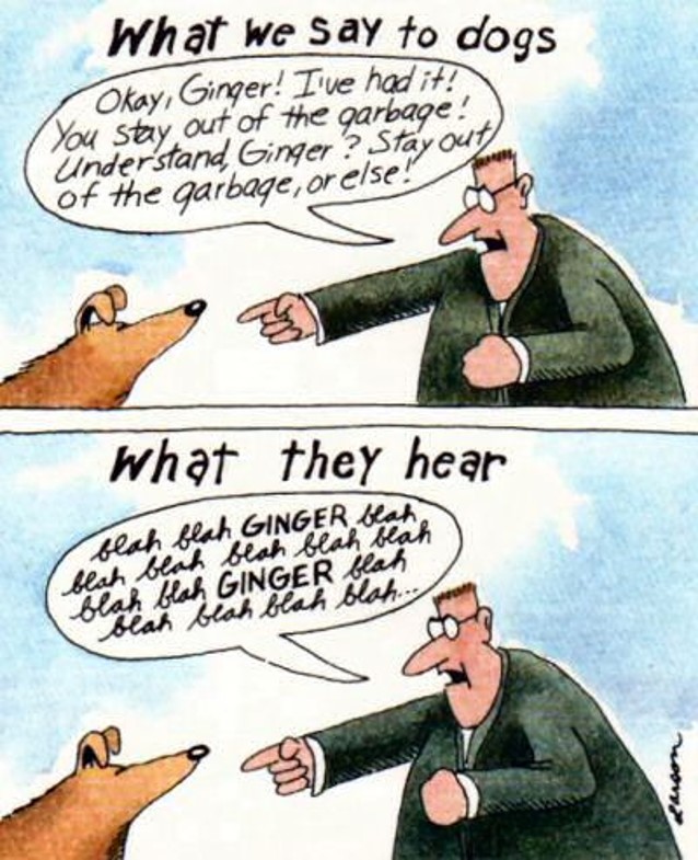 Far Side Comic showing what a human is saying to their dog, and that the dog only understands their name.