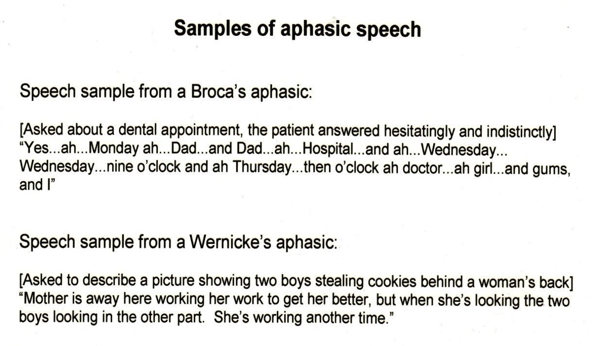 Brocas Aphasia and Wernickes Aphasia examples, as transcribed from patient interactions.