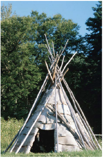 Wigwam erected in a clearing with small trees behind