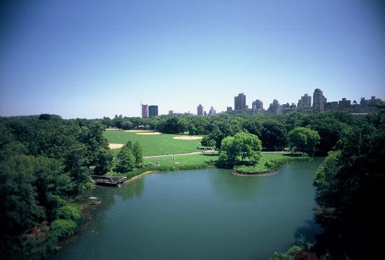 A picture of the water in Central Park 