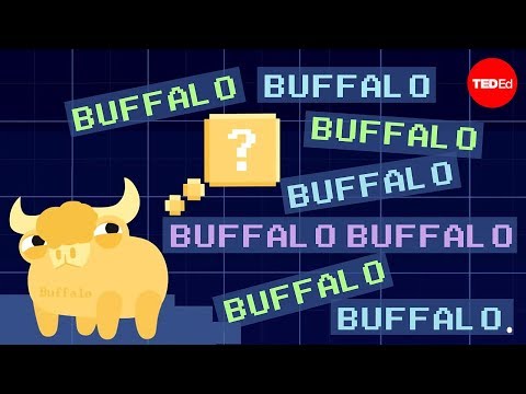 Thumbnail for the embedded element "Buffalo buffalo buffalo: One-word sentences and how they work - Emma Bryce"