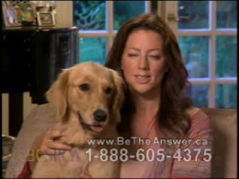 Thumbnail for the embedded element "Sarah McLachlan SPCA Commercial"