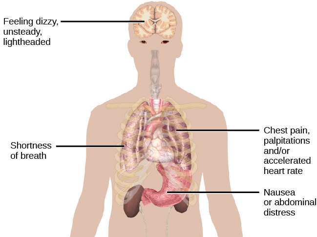 A diagram shows an outline of a person’s upper body and internal organs including the brain, the lungs, the stomach, and the heart. The diagram shows the symptoms of a panic attack and the areas of the body these symptoms may express themselves. The brain is labeled, “Feeling dizzy, unsteady, lightheaded.” The heart is labeled, “Chest pain, palpitations and/or accelerated heart rate.” The lungs are labeled, “Shortness of breath.” The stomach is labeled, “Nausea or abdominal distress.”