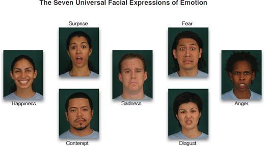 Diferentes rostros humanos que muestran las características principales de las siete expresiones faciales universales.