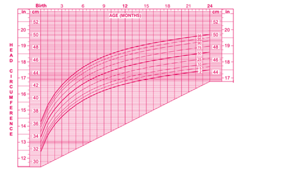 Head Circumference percentiles for girls 0 to 24 months. 