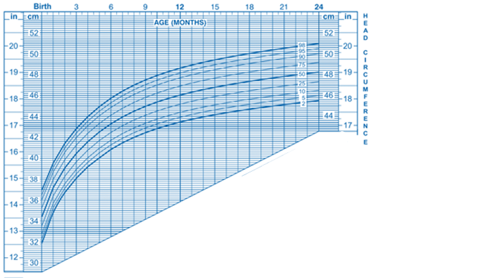 fetal growth chart head circumference