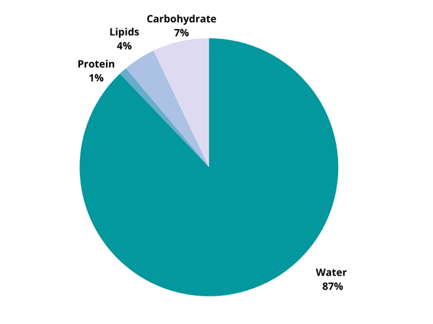 Breast milk composition. Water equals 87%, Carbohydrate equals 7&, Lipids equals 4%, Protein equals 1%