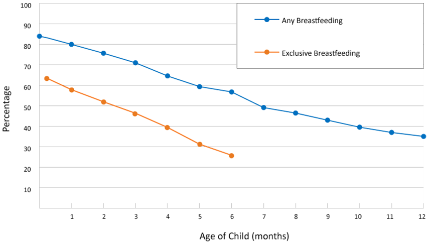 Rates of any and exclusive breastfeeding by age among infants born in 2018. Chart numbers in figure caption.