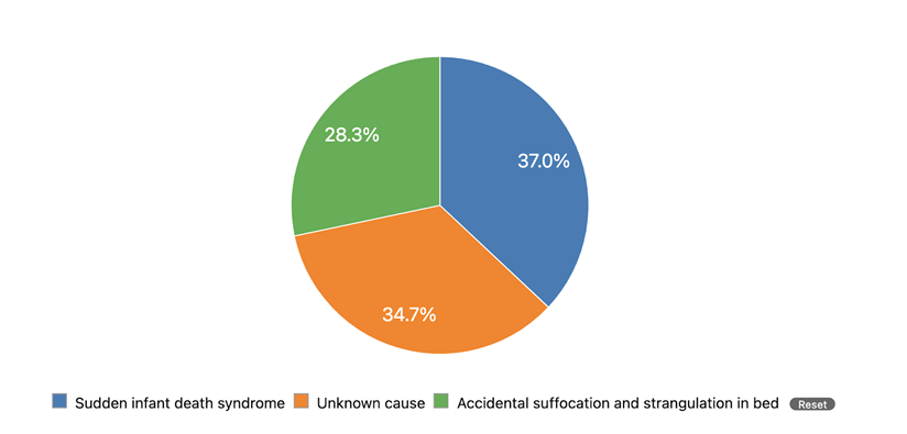 Breakdown of Sudden Unexpected Infant Deaths by Cause in 2019. This chart shows data provided in the figure caption.