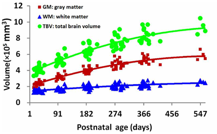 depicts the pattern of average total brain volume growth across the first 547 days (approximately 18 months) of development as well as the individual growth trajectories of white and gray matter. This chart shows data provided in the figure caption