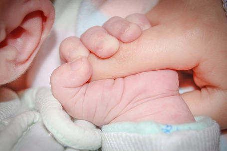 el agarre de la plamer se demuestra por los dedos de los bebés rodeando un dedo de adultos