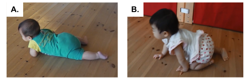 Un bebé gatear barriga (A.) y un bebé de manos y rodillas gatear (B.).