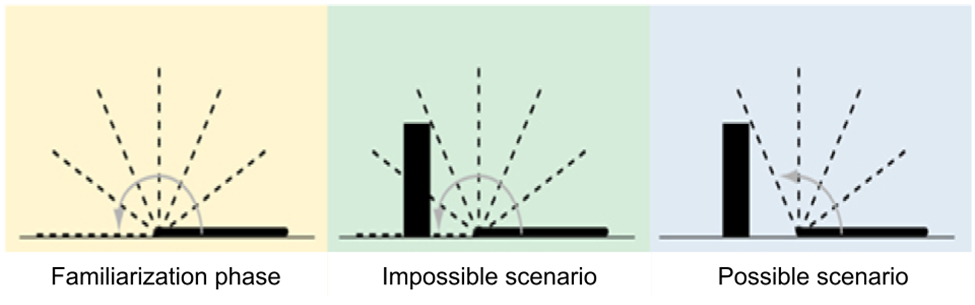 Representación de los estímulos de permanencia del objeto de Baillargeon (1987) Este gráfico muestra los datos proporcionados en el pie de la figura