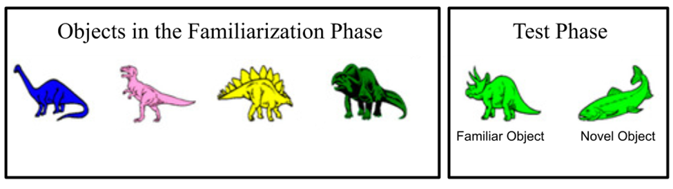 Se muestran dos conjuntos de objetos. El primer conjunto titulado “Objetos en fase de familiarización” contiene 4 tipos de dinosaurios de diferentes colores. El segundo conjunto titulado “Test Phase” contiene dos objetos. Un triceratops verde etiquetado como Objeto Familiar y un pez bajo verde etiquetado como Objeto Novel
