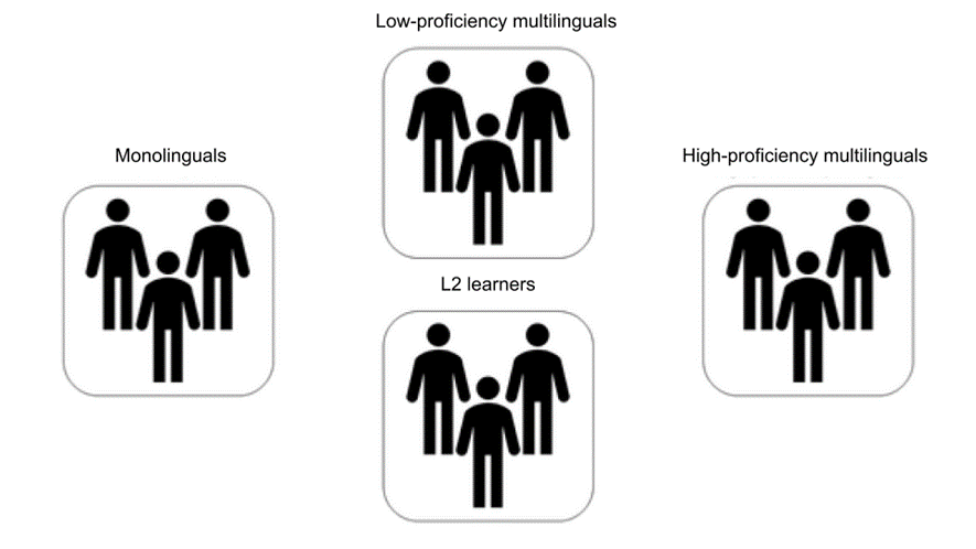 Representation of a categorical model of multilingualism with different possible groups of multilinguals. Groups include Monolinguals, Low-proficiency multilinguals, L2 learners, and High-proficiency multilinguals. 