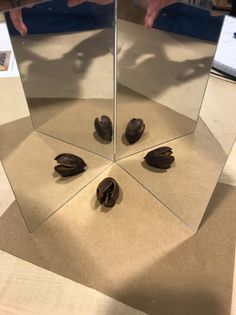 Coffee bean in front of mirrors