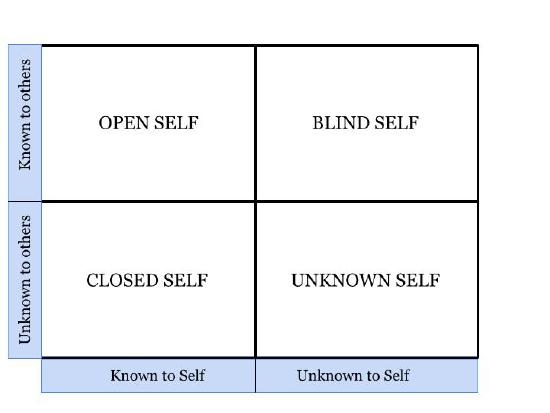 The Johari window is discussed in surrounding text, and an accessible text description is linked in the caption