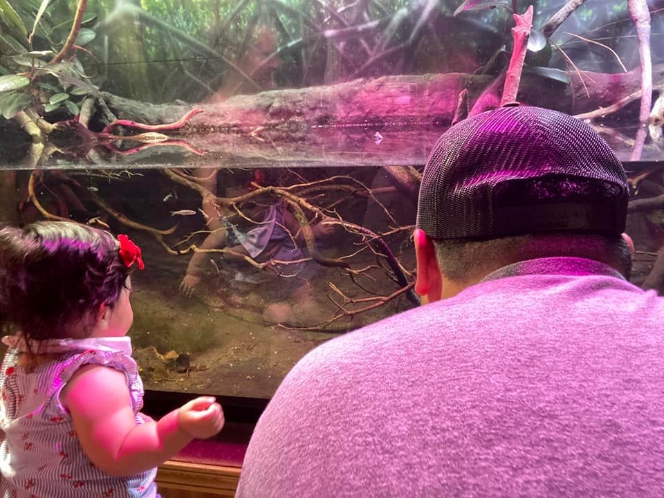 niño mayor y hombre miran a través de las paredes del acuario a la criatura