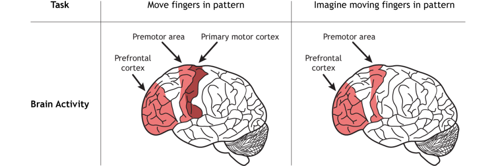 Illustration of brain activity in response to either moving fingers or imagining moving the fingers. Details in caption and text.