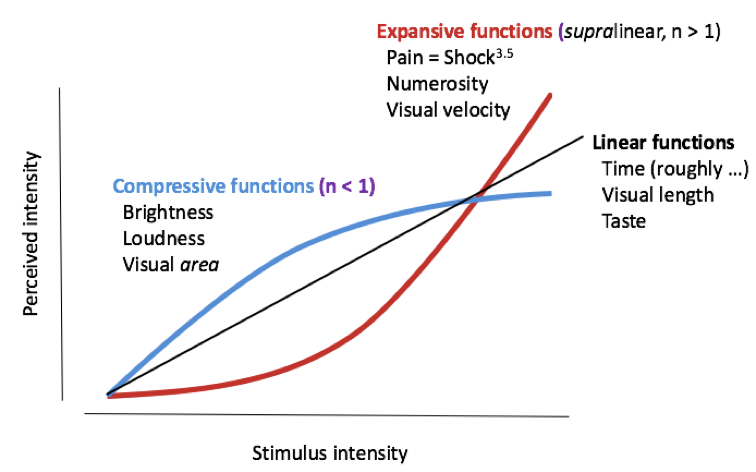 Ejemplos de funciones expansivas, compresivas y lineales de respuesta a estímulos.