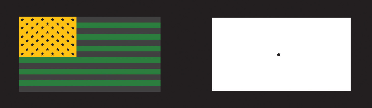 El ejemplo de la bandera estadounidense de los mecanismos tricolor y oponente-proceso
