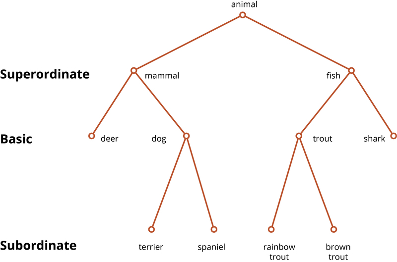 Este diagrama muestra ejemplos de categorías superordenadas, básicas y subordinadas y sus relaciones. Ver texto.