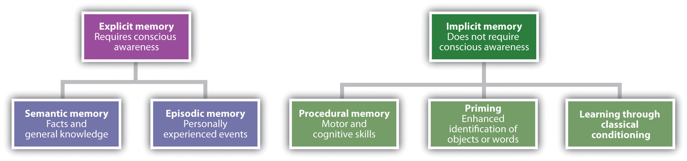 Explicit memory: semantic and episodic.  Implicit memory: procedural memory, priming, and classical conditioning.