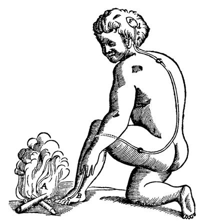 Ilustración de Descartes de su hipótesis del movimiento del espíritu animal en respuesta a la quema.