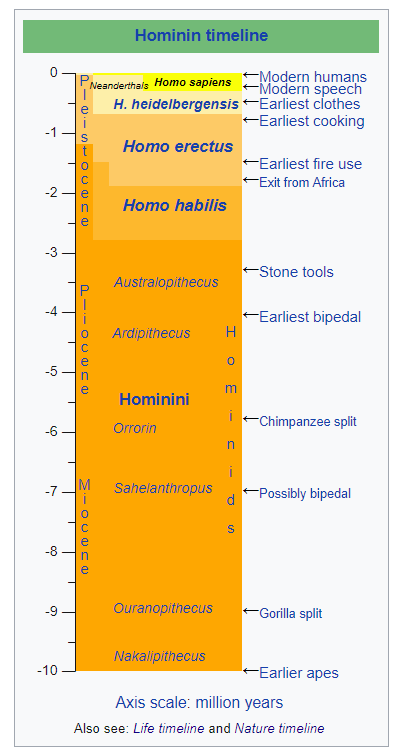 La línea de tiempo evolutiva de los homínidos muestra fechas de separación de chimpancés y grandes avances culturales desde el uso del fuego hasta el habla.