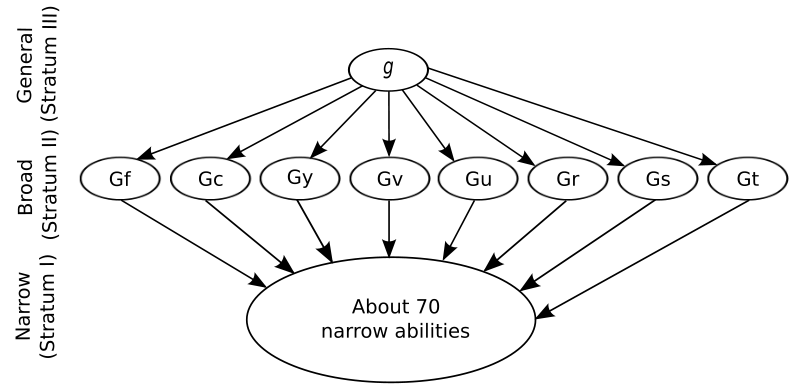 Diagrama de la teoría de la inteligencia humana de tres estratos de Carroll, g en la parte superior, 8 subtipos de g por debajo, 70 habilidades estrechas en la parte inferior.