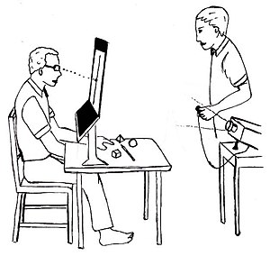 Cartoonish drawing showing a seated split brain person being tested.  See text.