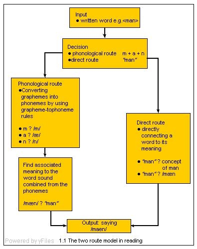 Diagrama que muestra el modelo de dos rutas de lectura. Ver texto.