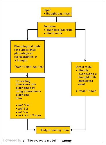 Diagrama que muestra el modelo de dos rutas para escritura y ortografía. Ver texto.