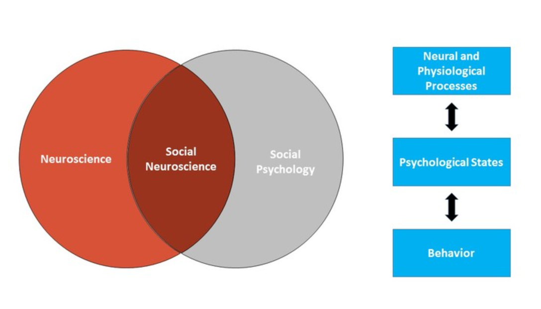 Diagrama de Venn que muestra la neurociencia social como superposición entre neurociencia y psicología social. Ver texto.