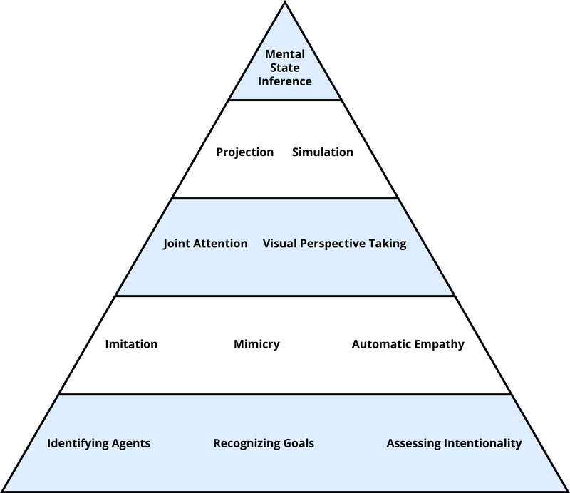 Tools of Theory of Mind displayed as a pyramid with evolutionarily old process lower and evolutionarily recent processes higher in the pyramid. On the bottom level - "Identifying Agents", "Recognizing Goals", "Assessing Intentionality". Level 2 - "Imitation", "Mimicry", "Automatic Empathy". Level 3 - "Joint Attention", "Visual Perspective Taking". Level 4 - "Projection", "Simulation". Top level - "Mental State Inference".