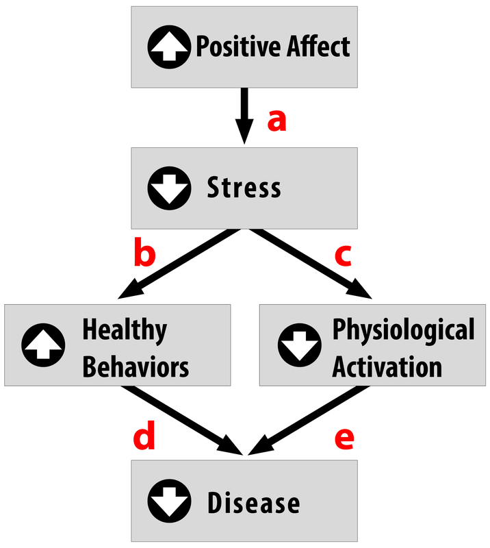 diagrama de flujo que muestra cómo el estrés conduce a la
