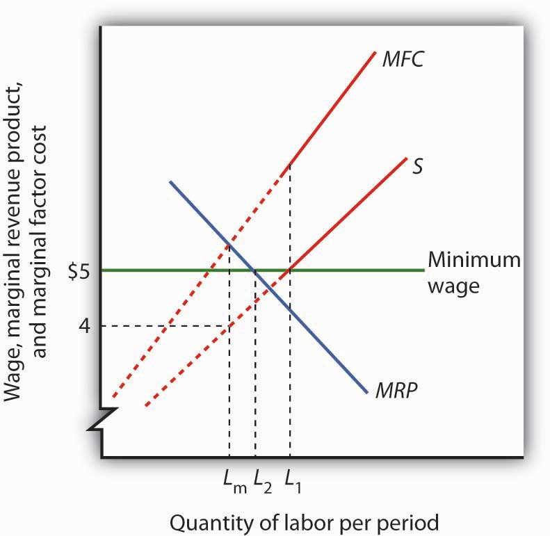 Una gráfica que muestra la relación entre la curva de oferta, la curva de costo del factor marginal y una curva de producto de ingresos marginales y cómo se efectúa el empleo por un salario mínimo
